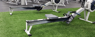 Sports & Agility