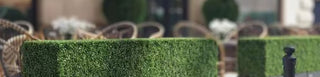 artificial hedges