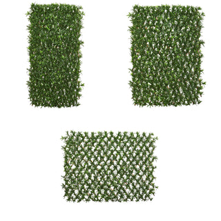 UltimateLeaf Podocarpus Expandable Privacy Fence