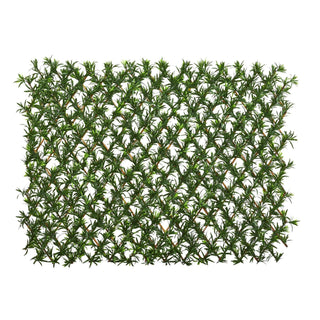 UltimateLeaf Podocarpus Expandable Privacy Fence
