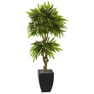 UltimateLeaf Mango Artificial Tree in Black Wash Planter