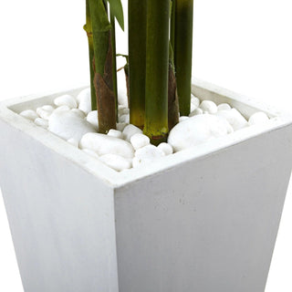 UltimateLeaf Bamboo Tree with White Planter