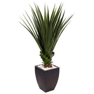 UltimateLeaf Spiked Agave in Black Planter