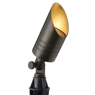 Low Voltage Spotlight