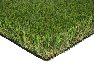 TropicoLawn Monteverde Plus ($2.59 sqft)