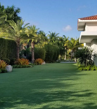 Artificial Grass Price