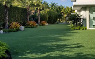Artificial Turf Tampa, FL