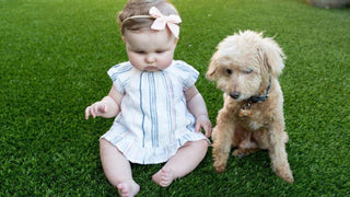 Pet Urine Neutralizer