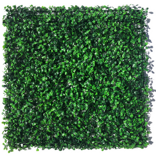 UltimateLeaf Boxwood with Fern Bushes