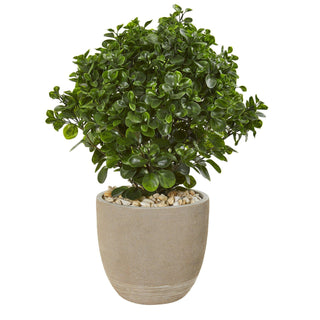 UltimateLeaf Peperomia Artificial Plant in Sand Stone Planter