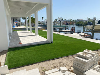 TropicoLawn Majestic Olive ($1.69 sqft)