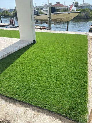 TropicoLawn Majestic Olive ($1.69 sqft)
