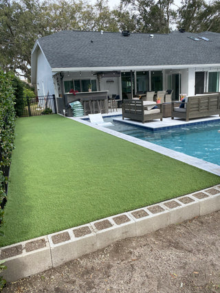 TropicoLawn Majestic Olive ($1.69 sqft)