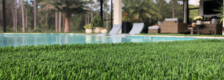 Wholesale Artificial Grass Tampa Turf Supplier