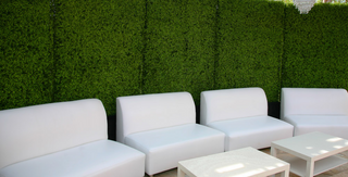 Artificial Turf and Ivy Supplier Tampa Florida