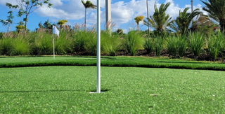 Florida Wholesale Artificial Grass Putting Green