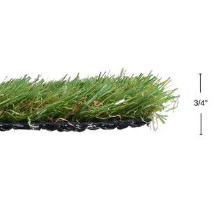 Realistic Artificial Grass 